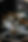 717A5633.JPG