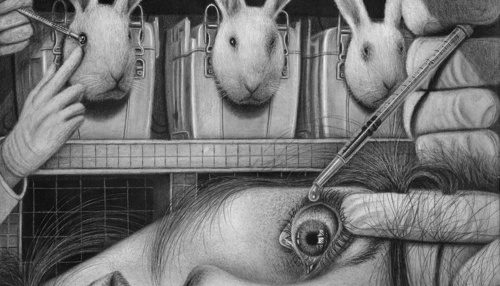 'Animal Rights' Series