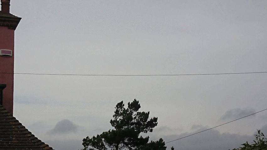 DSC_1383-ANIMATION.gif