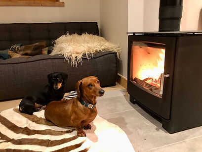 Dogs and Fire.jpg
