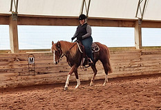 WesternDressageClinic0017.jpg