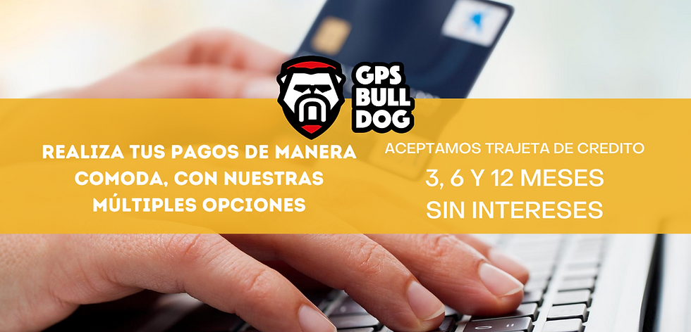 Blue Accounting Business_Advertising Web