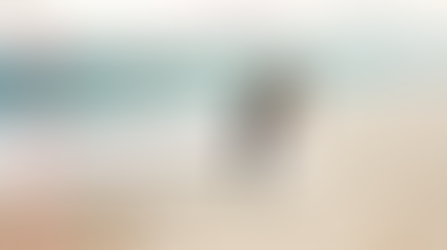 Poetry (Types of Poetry)