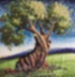 Mosaicos
