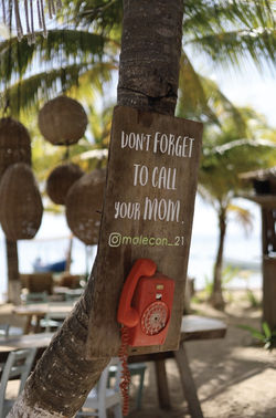 Know more about us checking out our MALECON21 Costa Maya photos gallery. 
MALECON21 CLUB DE PLAYA  & RESTAURANTE EN MAHAHUAL, COSTA MAYA. 