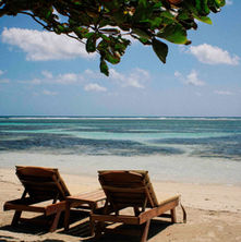 Enjoy Mexican Caribbean flavors and beachfront dining at MALECON21 Beach club and Restauran in  Mahahual. Get your Costa Maya Beach Break Day Pass.