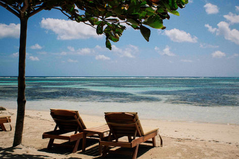 Know more about us checking out our MALECON21 Costa Maya photos gallery. 
