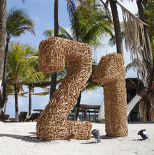 Disfrute de los sabores del Caribe mexicano y tu expeciencia frente al mar en el club de playa y restaurante MALECON21 en la playa de Mahahual. 