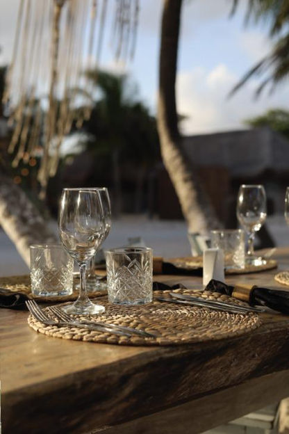 Know more about us checking out our MALECON21 Costa Maya photos gallery. 
MALECON21 CLUB DE PLAYA  & RESTAURANTE EN MAHAHUAL, COSTA MAYA. 