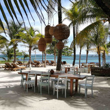Enjoy Mexican Caribbean flavors and beachfront dining at MALECON21 Beach club and Restauran in  Mahahual. Get your Costa Maya Beach Break Day Pass.