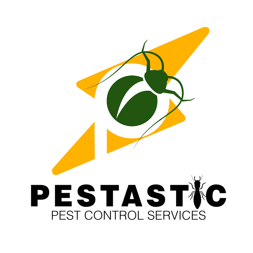 Logo and Name without Background1.png