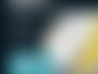 Shed Your Software Issues