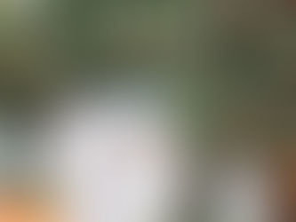 How Much Do Wedding Photographers Charge?