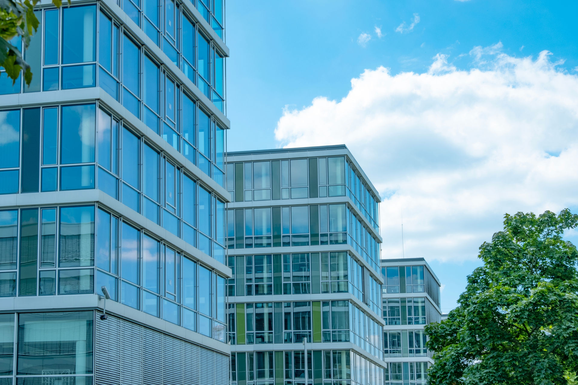 膝の痛み専門 大阪梅田セルクリニック 膝の再生医療の専門家 保田 真吾