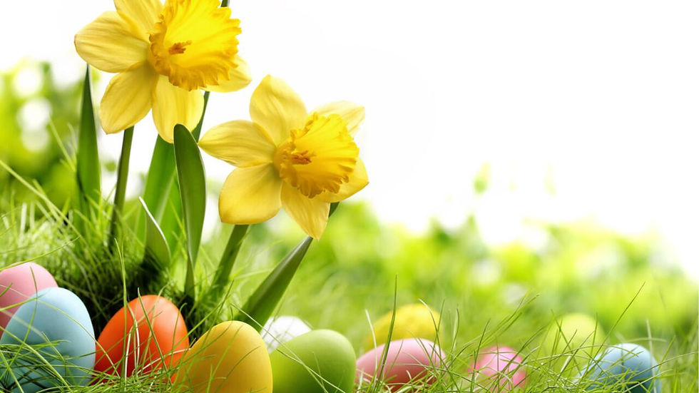 ostern-ostereier-shutterstock-fotohunter-210308-1280x720.jpg