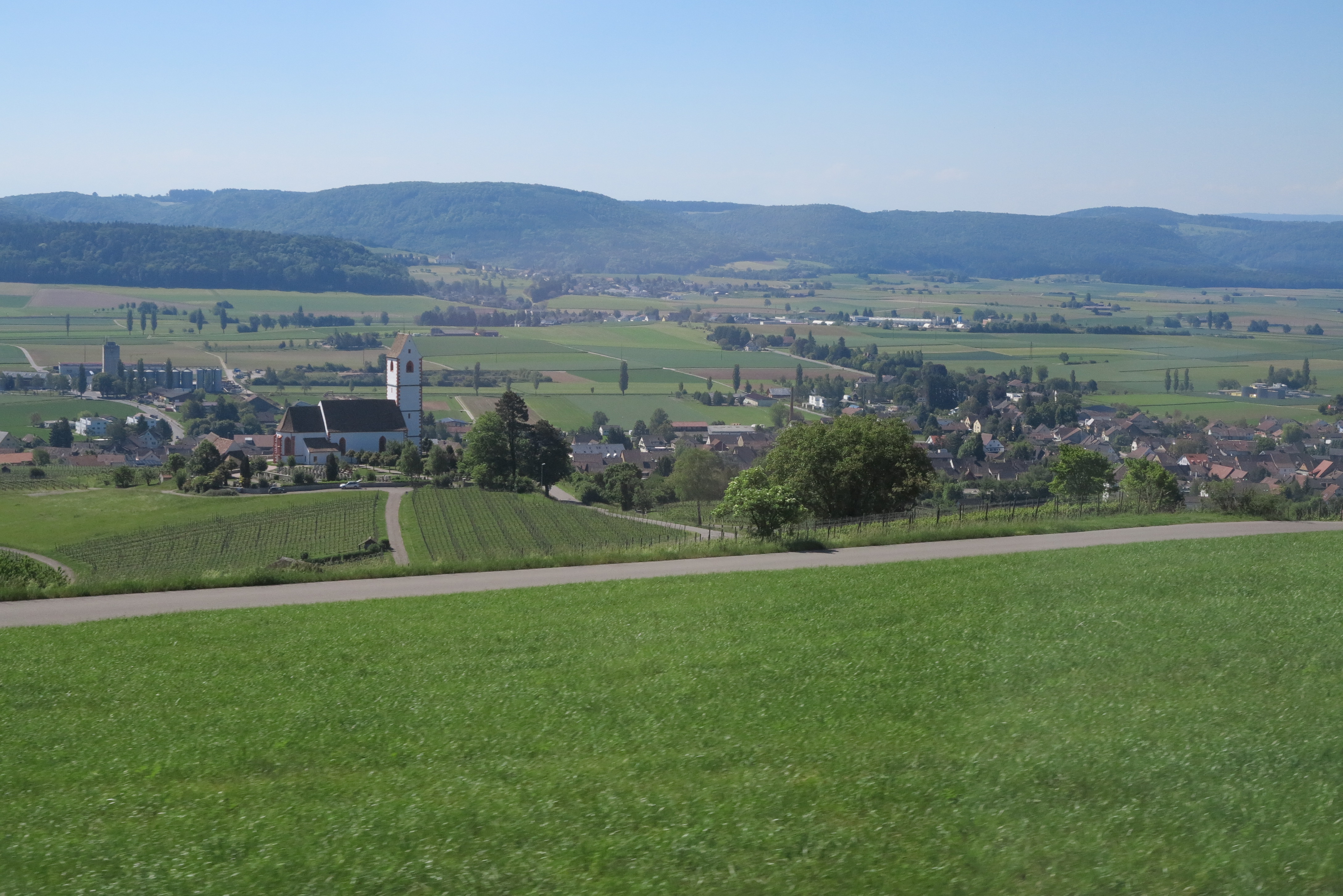 2017 Hallau
