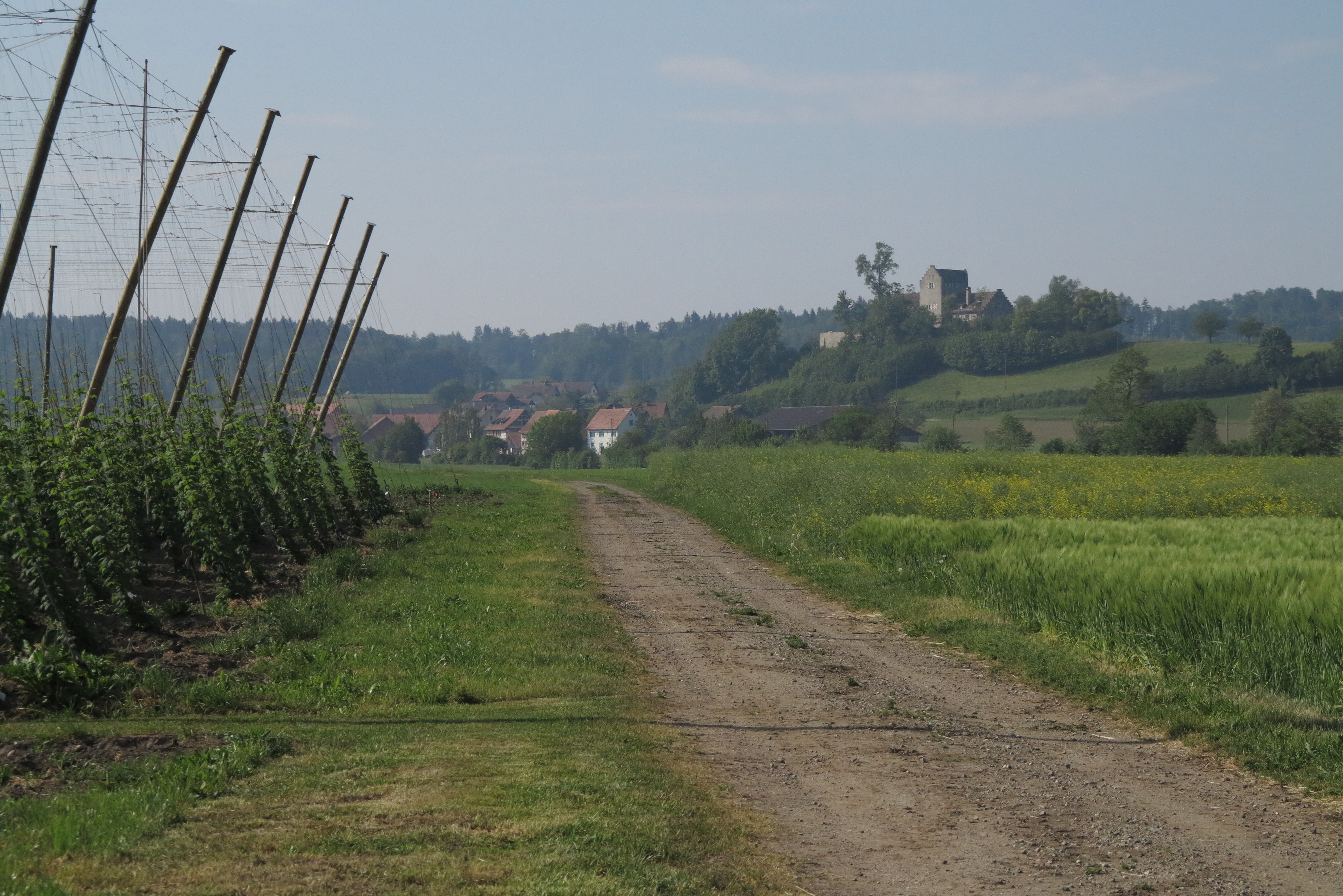 Stammheim