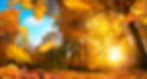 ree