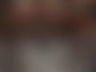 COME FUNZIONA IL ROSATELLUM