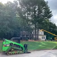 Specialized Hazardous Tree Removal for Safety and Peace of Mind