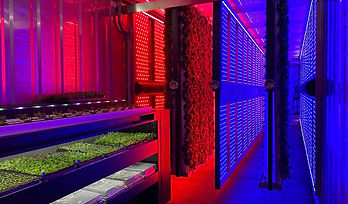 Inside a Container Farm!