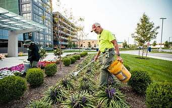 Turfscape-Day Two-132 (1).jpg
