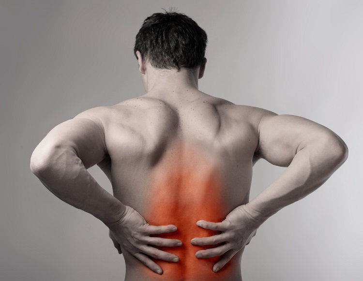 Herban Wellness Acupuncture Apc