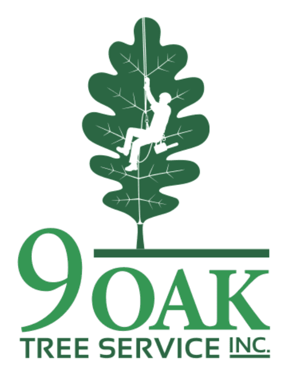 9 Oak
