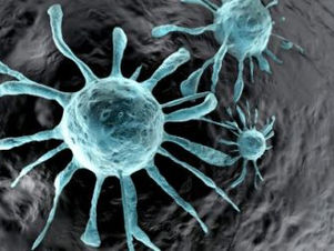 Childhood Rhabdomyosarcoma Symptoms - Oren Zarif - Childhood Rhabdomyosarcoma