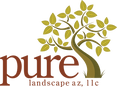 pure-landscape-az-logo.png