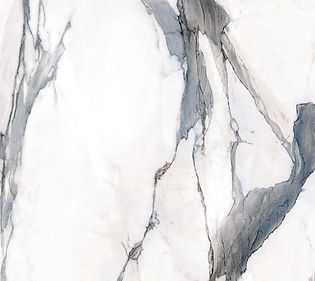 calacatta-oceanic-120x270-3.jpeg