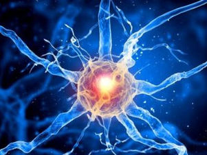 Salivary Gland Cancer Symptoms - Oren Zarif - Salivary Gland Cancer