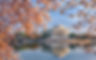 Washington-DC-Tour-Video-Big-Bus-Tours-Cherry-Blossom-Video.jpg