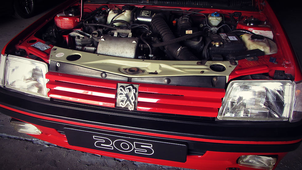 Thumbnail: Peugeot 205 CTI 1.9