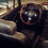 Thumbnail: Alfa Romeo Spider 2.0