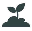 Seed.png