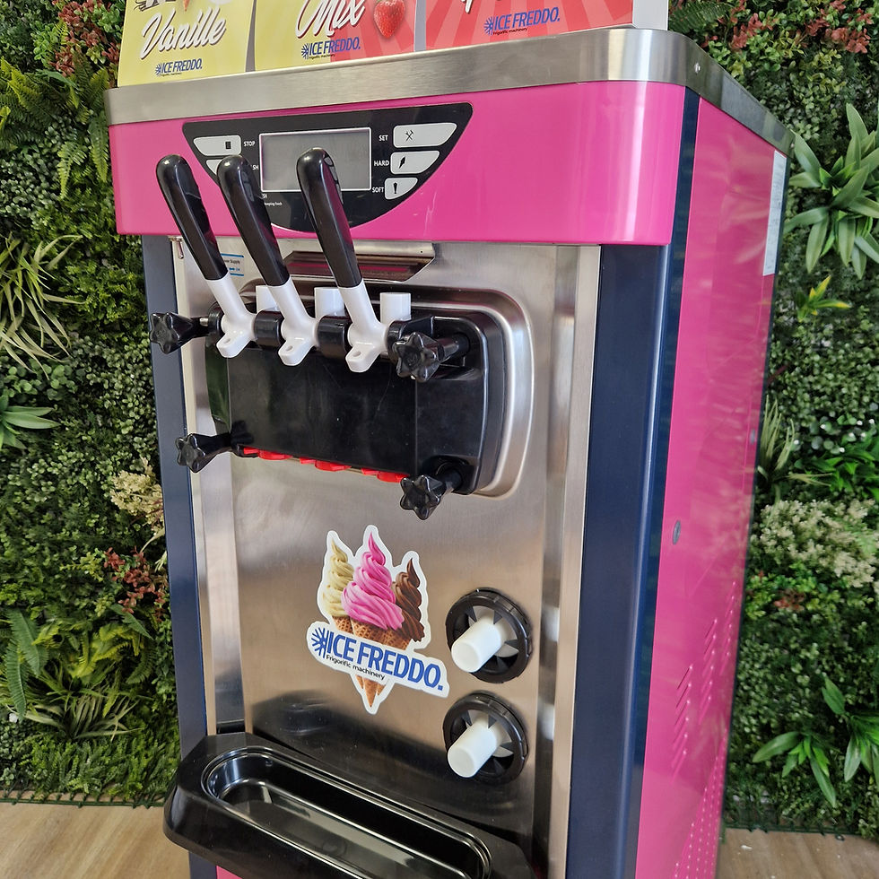 Miniature : Machine à Glace italienne GENOA ICE FREDDO