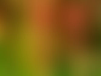 Weekly Challenge - ICM - 21-7-2020