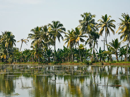 Backwaters, riflessi di tranquillità.