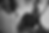 Gallery cover photo.PNG