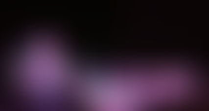 The Magic Returns: Hundreds Gather for Milton’s Spectacular Holiday Light Show.