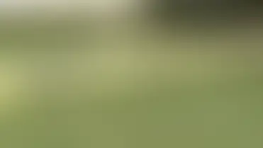 Police Investigate Possible Arson at Milton Health Centre