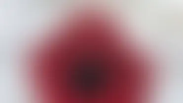 Milton Teens Join Together to Crochet Poppies for Remembrance Day