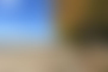 Record-Breaking Halloween Heat Hits Ontario Communities, with More Warm Weather Ahead