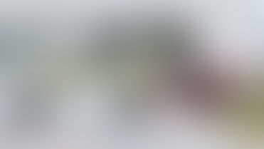 Fatal Crash in Milton: One Man Dead After Early Morning Collision