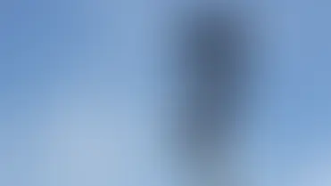 Milton Halts Photo Radar Program Pending Provincial Guidance