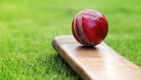 New Cricket Batting Cage Coming to Milton Park!
