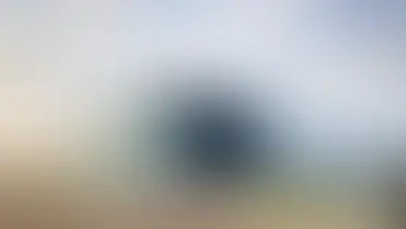 Global Pet Brand Invests $20 Million to Launch New Cat Litter Packaging Facility in Milton