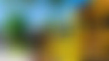 Halton Student Transportation Services providing ‘bus stop time calculator’ for parents