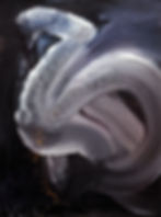 Dragon Swan